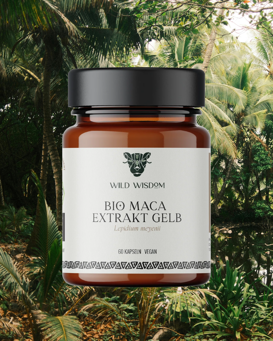 Entdecke die Kraft der Gelben Maca: Vorteile, Anwendungen und Rezepte für deine Gesundheit!